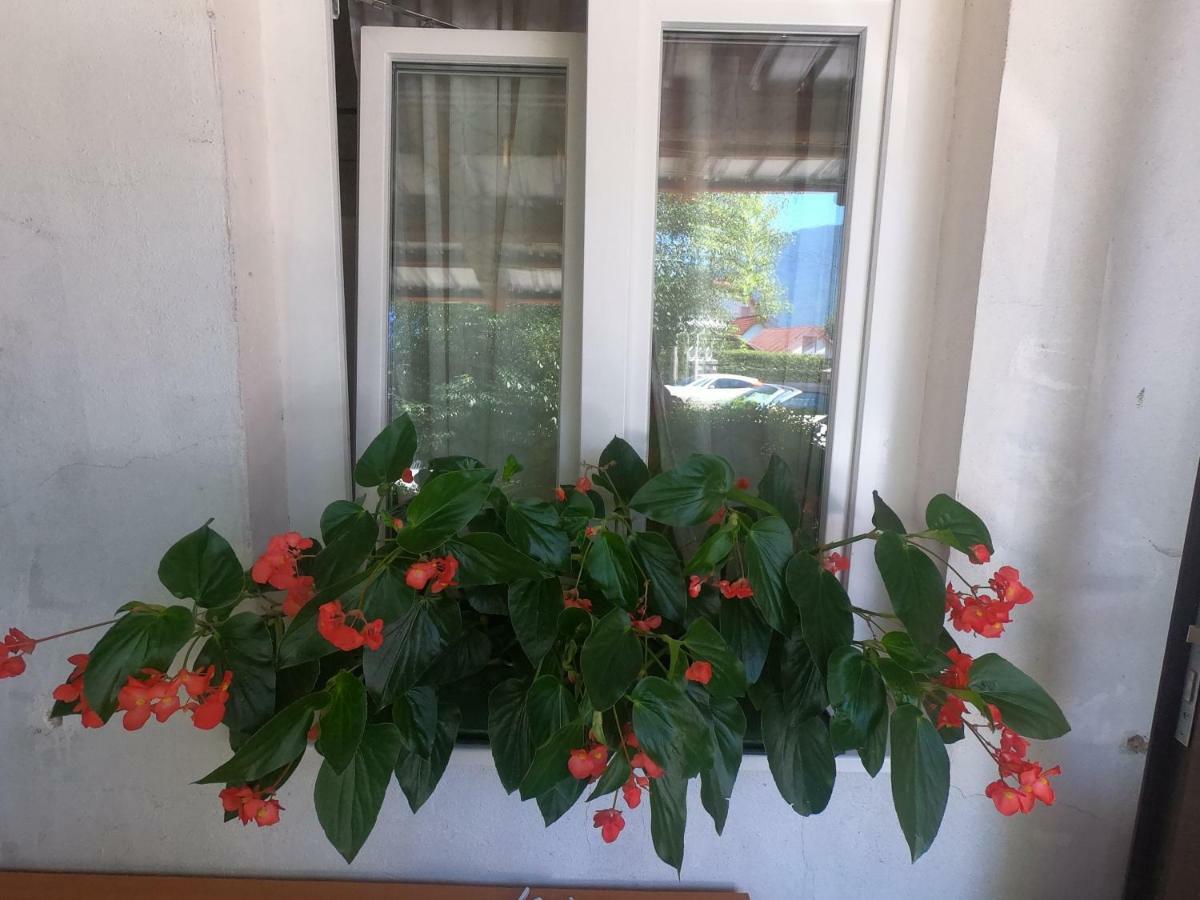 Fontana Apartment Бовец Екстериор снимка